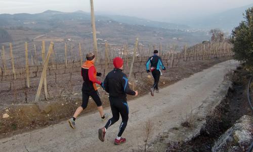 Montefortiana EcoMaratona - a 44km ultra marathon in the Province of Verona in Italy (Copyright © 2015 Hendrik Böttger / runinternational.eu)