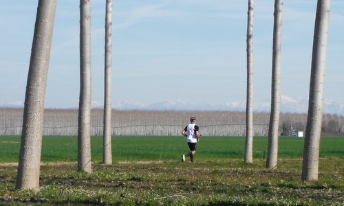 Cjaminade fra Amis, Gonars, Italy - Weather permitting, the course offers fine views of the Alps. (Copyright © 2017 Hendrik Böttger / runinternational.eu)