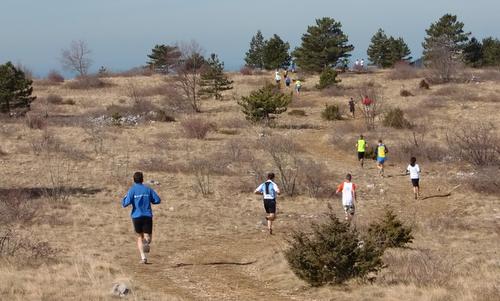 Kokoš Trail, Basovizza, Trieste, Italy - runners on the carso (Copyright © 2017 Hendrik Böttger / runinternational.eu)