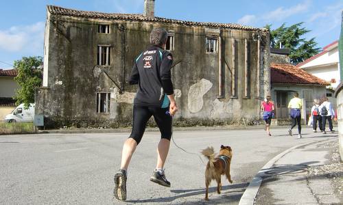 Marcia dei Tre Campanili, San Pier d'Isonzo - runner with dog (Copyright © 2013 Hendrik Böttger / Run International EU)