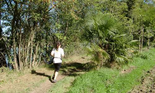 Marcia dei Tre Campanili - a runner on the River Isonzo (Copyright © 2016 Hendrik Böttger / runinternational.eu)