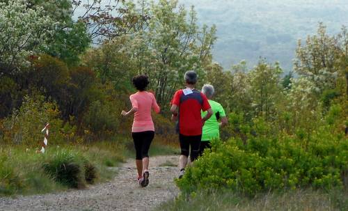 Marcia di Redipuglia, Italy - runners in the karst (Copyright © 2015 Hendrik Böttger / runinternational.eu)