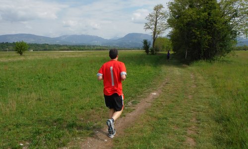 Marcia Città del Mosaico, Spilimbergo, Italy - a runner enjoys the views of the Prealps in the distance (Photo: Copyright © 2018 Hendrik Böttger / runinternational.eu)