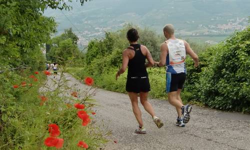 Straverona 2013 -  half marathon: steep downhill run (Copyright © 2013 Hendrik Böttger / runinternational.eu)