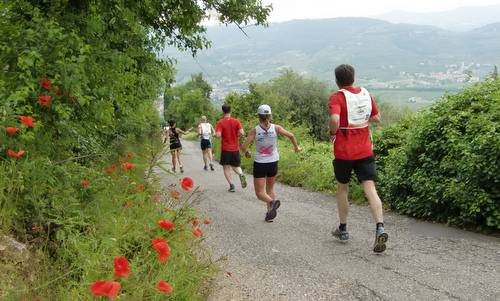 Straverona - 20km runners in the hills to the north of Verona (Copyright © 2016 Hendrik Böttger / runinternational.eu)