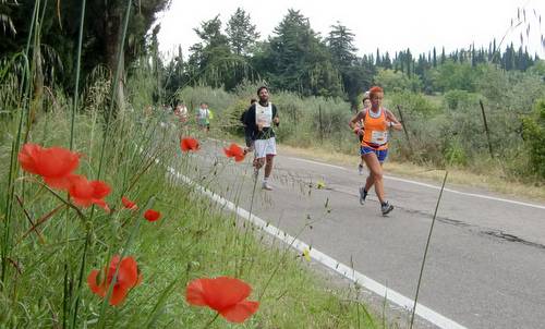 Straverona 2013 -  scenic half marathon course (Copyright © 2013 Hendrik Böttger / runinternational.eu)