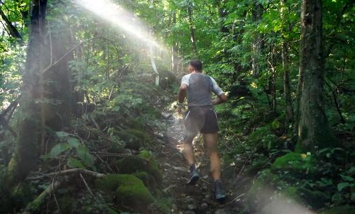 Marcia 'Camminiamo insieme', Villanova delle Grotte, Italy - a runner in the forest (Copyright © 2015 Hendrik Böttger / runinternational.eu)