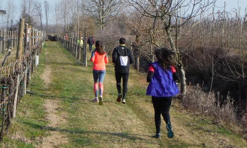 Marcia delle Risorgive, Zoppola, Pordenone, Italy - participants run through beautiful vineyards (Copyright © 2016 Hendrik Böttger / runinternational.eu)