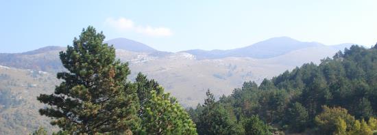 Nanos Karst plateau