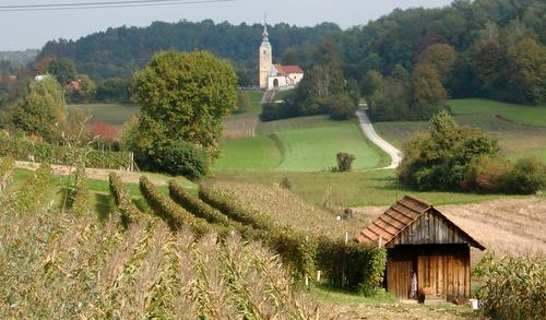 Bušeča vas, Dolenjska region, Slovenia (Copyright © 2010 Hendrik Böttger / runinternational.eu)