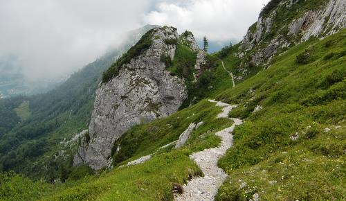 gm4o Alpine Marathon, Slovenia - the trail to the Čez suho saddle (Photo: Copyright © 2010 Hendrik Böttger / runinternational.eu)