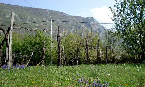 The Nanos Plateau as seen from Gradišče pri Vipavi, Slovenia (Copyright © 2011 Hendrik Böttger / runinternational.eu)