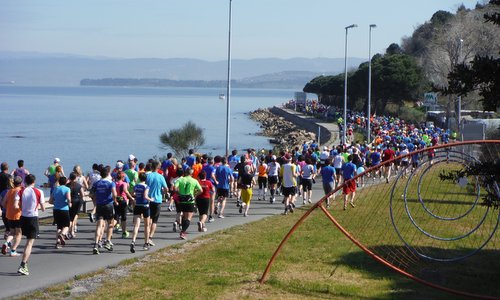 Istrski maraton, Slovenia - marathon and half marathon runners on the way from Izola to Koper (Copyright © 2015 Hendrik Böttger / runinternational.eu)