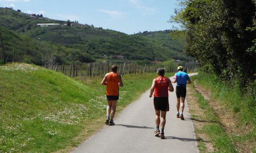 Istrski Maraton - Istrian Marathon - runners  on the Parenzana cycleway, Slovenia (Copyright © 2016 Hendrik Böttger / runinternational.eu)