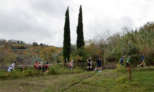 Martinov tek, Izola, Slovenia - runners pass Mediterranean cypresses (Copyright © 2016 Hendrik Böttger / runinternational.eu)