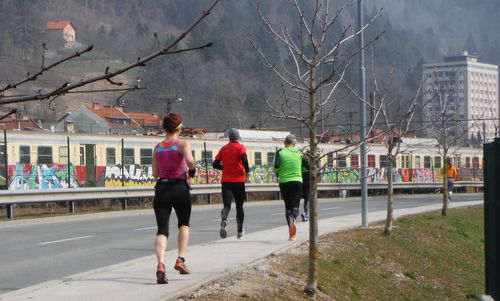 jesenice 17 rail