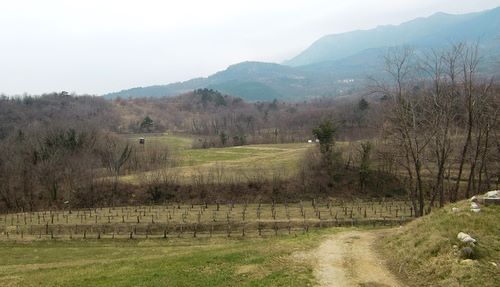 Kamnje, Primorska  region, Slovenia