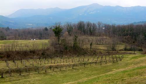 Kamnje, Primorska, Slovenia (Copyright © 2011 Hendrik Böttger / runinternational.eu)