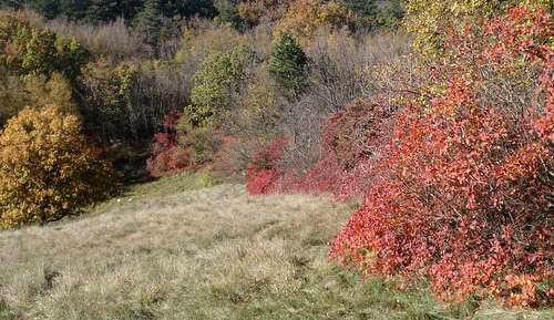 Autumn in the Karst in Slovenia (Copyright © 2011 Hendrik Böttger / runinternational.eu)