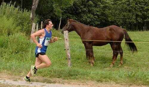 Tek Veronike Deseniške 2011, Franci Menič (Copyright © 2011 runinternational.eu)