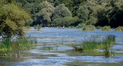 The River Krka at Otočec (Copyright © 2009 Hendrik Böttger / runinternational.eu)