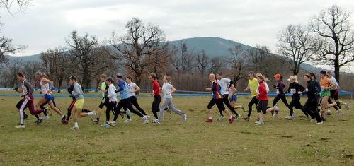Cross in Lipica 2011 - 6K men and women (Copyright © 2011 Hendrik Böttger / runinternational.eu)