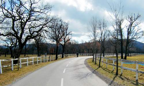 Lipica stud farm, Slovenia (Copyright © 2011 Hendrik Böttger / runinternational.eu)