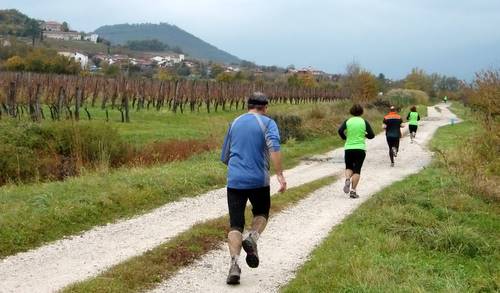 Jesenski tek, Lože pri Vipavi, Slovenia (Copyright © 2011 Hendrik Böttger / runinternational.eu)