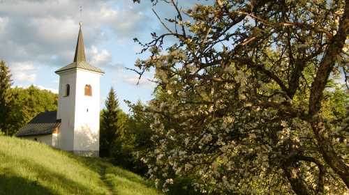 Sveti Mohor, Slovenia (Copyright © 2010 Hendrik Böttger / runinternational.eu)