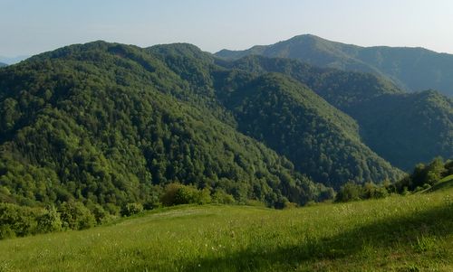 Views from Osolnik, near Škofja Loka, Slovenia (Copyright © 2014 Hendrik Böttger / runinternational.eu)