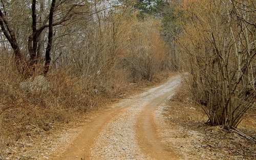 Race in Senožeče - in the forest near the village (Photo: www.runinternational.eu)