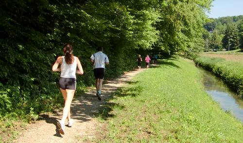 Šmarješki tek in Šmarješke Toplice, Slovenia (Copyright © 2010 Hendrik Böttger / Run International EU)