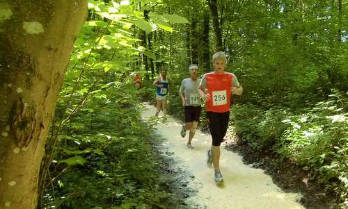 Šmarješki tek - runners in the woods of Šmarješke Toplice, Slovenia (Copyright © 2016 Hendrik Böttger / runinternational.eu)