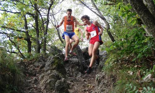 Šmarna gora Race 2009 - runners on the summit of Grmada (Copyright © 2009 Hendrik Böttger / runinternational.eu)