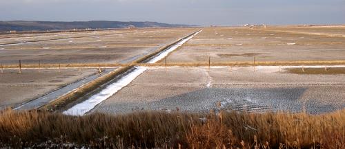 The Sečovlje salt pans in the Piran Bay, Slovenia (Copyright © 2009 Hendrik Böttger / runinternational.eu)