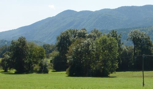 Jelovica Plateau, Slovenia (Copyright © 2010 runinternational.eu)