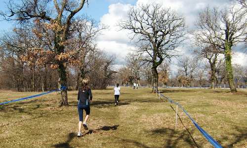 Kros v Lipici, Lipica, Slovenia  - women cross-country runners in the stud farm of Lipica (Photo: Copyright © 2019 Hendrik Böttger / runinternational.eu)