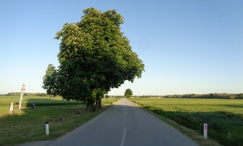 Prekmurski mali Maraton, Moravske Toplice, Slovenia -- Course photo (Copyright © 2022 Hendrik Böttger / runinternational.eu)