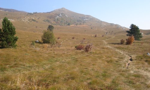 Hiking trail on the Nanos Karst Plateau in Slovenia (Copyright © 2019 Hendrik Böttger / runinternational.eu)